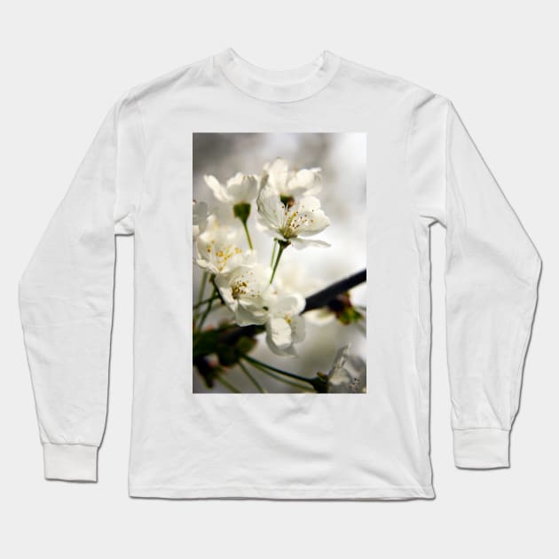 Cherry blossom Long Sleeve T-Shirt by InspiraImage